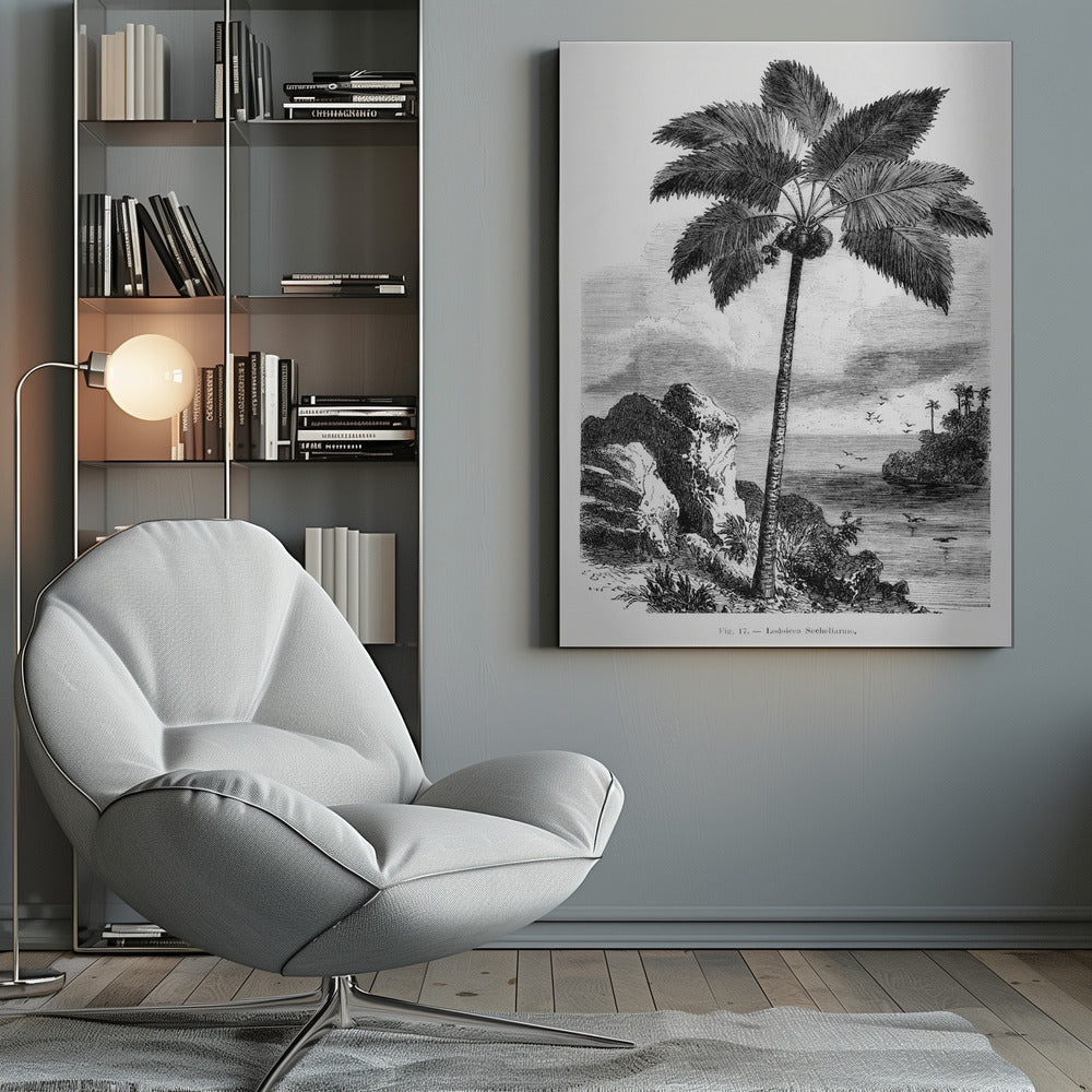 Vintage Palm Tree Drawing I by Les Palmiers Histoire Iconographique