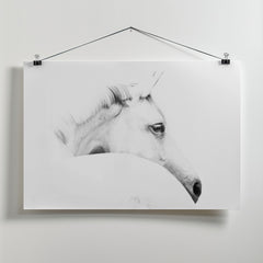 horse and minimalism by Ulrike Leinemann