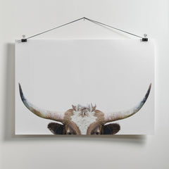 Peeking Longhorn Cow by Kathrin Pienaar