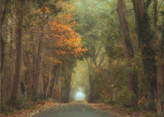 Country road by Anton van Dongen