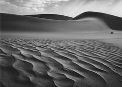 The Living Dunes, Namibia I by Neville Jones