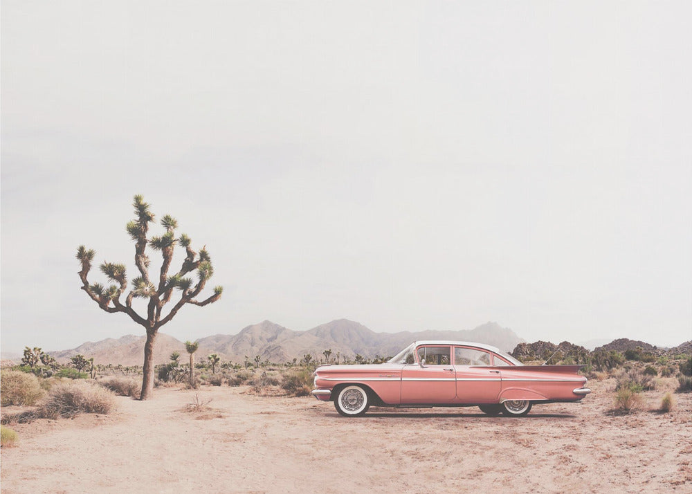 In the desert by Kathrin Pienaar