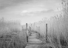 The plank bridge