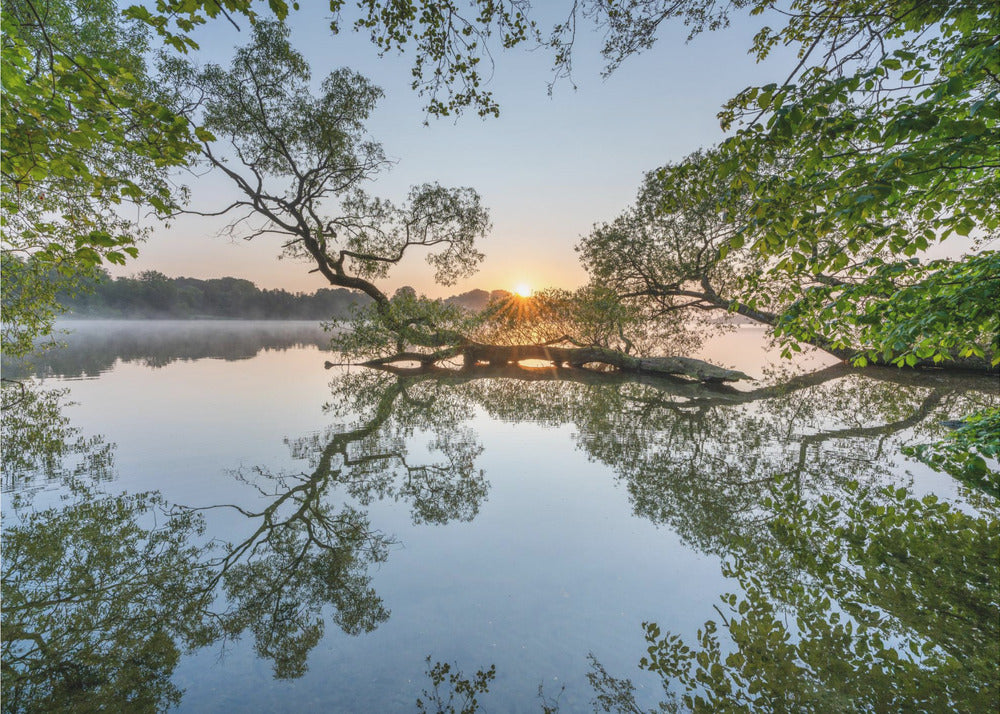 Morning stillness by keller