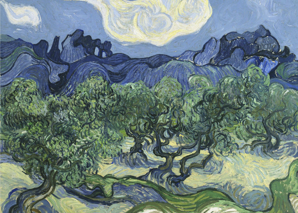 Vincent Van Gogh's Olive Trees With the Alpilles In the Background (1889) by Vincent Van Gogh