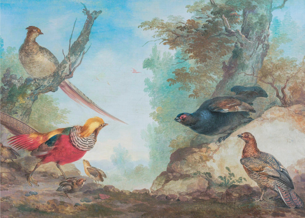 Pheasants by Aert Schouman