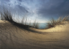 Dunes........... by Wim Schuurmans