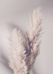 Pampas Grass by Pictufy Studio III