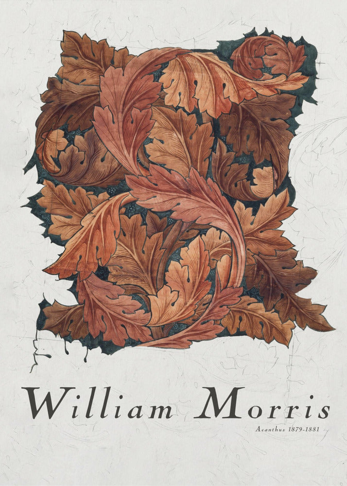 Acanthus by William Morris