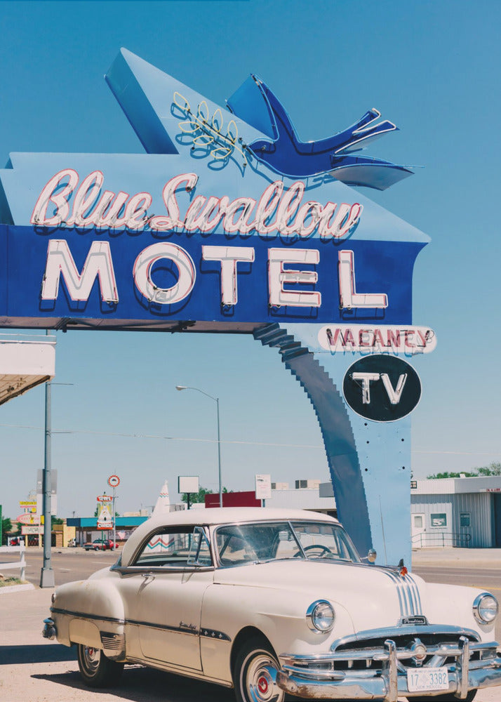 Blue Swallow Motel by Bethany Young