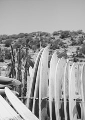 Surfboards in Black and White by Raisa Zwart