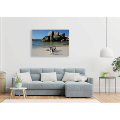 Wall Art Print - African Penguins At Boulders