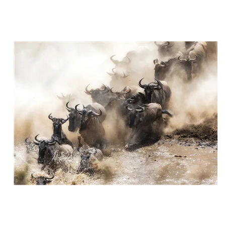 Wall Art Print - Wildebeest Herd
