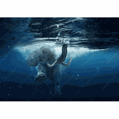Wall Art Print - Elephant Swimming