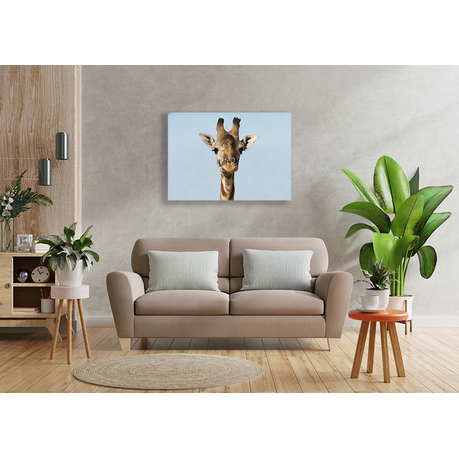 Wall Art Print - Giraffe Face