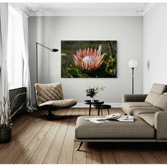Wall Art Print - King Protea