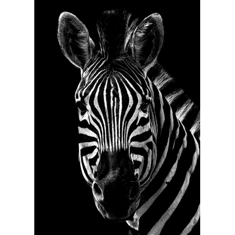Wall Art Print - Majestic Stripes