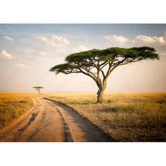 Wall Art Print - African Landscape - Tanzania