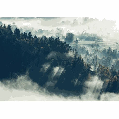 Wall Art Print- Mountain Forest