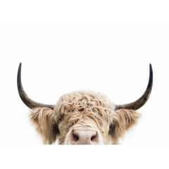 Wall Art Print - Peeking Cow