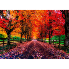 Wall art Print- October Colors