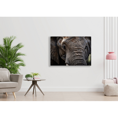 Wall Art Print - Gaze at The Wild Beauty of The Elephant