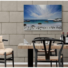 Wall Art Print - The penguins at Boulder's beach