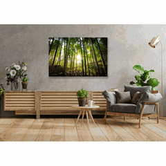 Wall Art Print - Forest Sunset