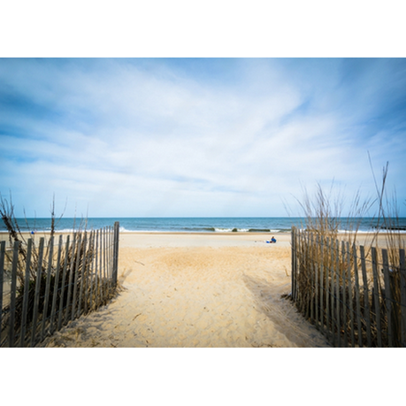 Wall Art Print- Path to the Beach