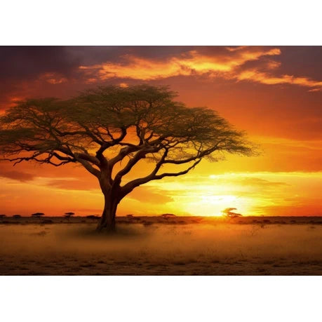Wall Art Print - Sunset on the African Plains with Acacia Tree