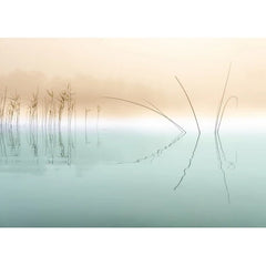Wall Art Print - Nature
