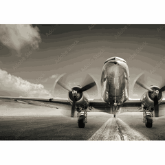 Wall Art Print - DC3