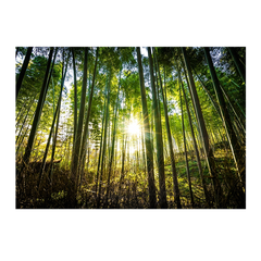 Wall Art Print - Forest Sunset