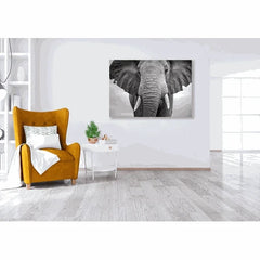 Wall Art Print - Elephant Walking
