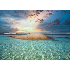 Wall Art Print- Striking Scene Of Cape Penguins
