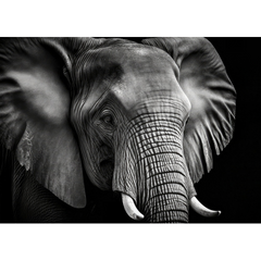 Wall Art Print - Portrait of an Elephant in Black and White