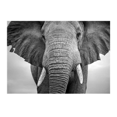 Wall Art Print - Elephant Walking