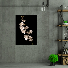 Wall Art Print - White Orchid Isolated Over Black Background