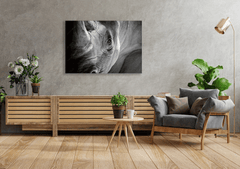 Wall Art Print - Rhino Close Up